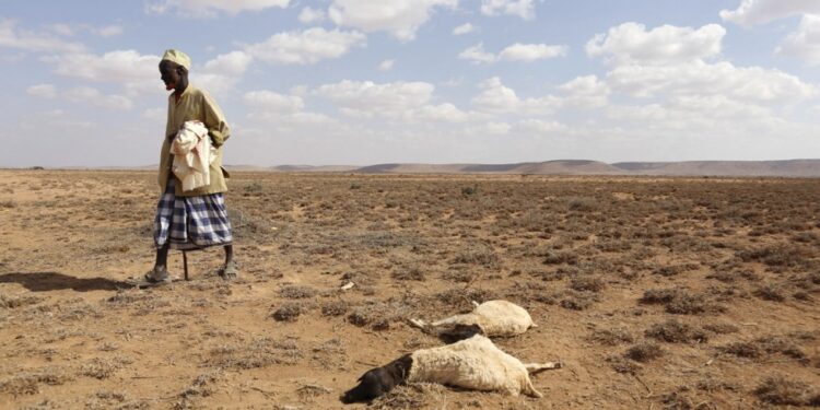 Près de 68 millions de personnes souffrent de la sécheresse en Afrique australe, selon un bloc régional