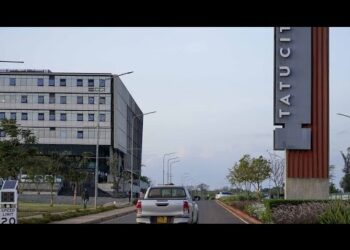 Réductions de l’aide étrangère : les conséquences pour l’Afrique sous la direction de Trump