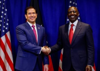 Ruto plaide pour une réforme de la finance mondiale lors d'un sommet consacré au multilatéralisme