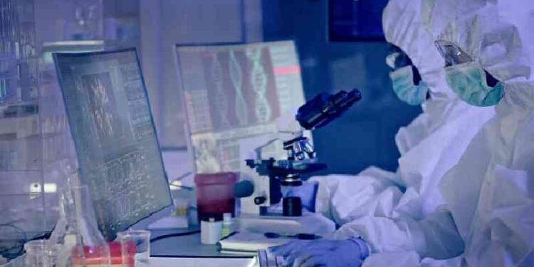 Rwanda : le virus Marburg a tué plusieurs personnes ; l’OMS prévoit d’envoyer de l’aide médicale