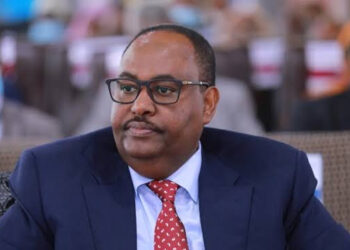 Somalie : le Puntland refuse de reconnaître le gouvernement fédéral après des modifications constitutionnelles contestées