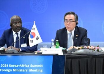 Sommet Corée du Sud-Afrique : 25 chefs d'État participent à la première réunion