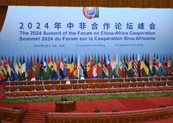 Sommet sur la coopération sino-africaine : principaux enseignements et perspectives d’avenir
