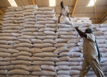 L’impact de La Guerre Russo-Ukrainienne Sur Le Développement Durable en Afrique