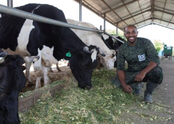 Un investissement de 35 millions de dollars pour renforcer la sécurité alimentaire en Afrique de l’Est
