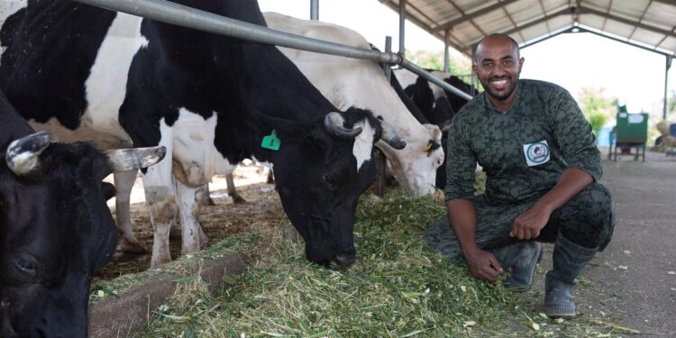 Un investissement de 35 millions de dollars pour renforcer la sécurité alimentaire en Afrique de l’Est