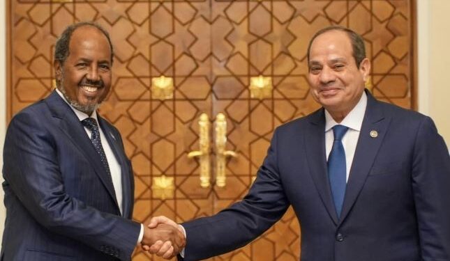 Un navire égyptien livre des armes à la Somalie