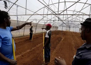 Un projet sud-africain aide les personnes sourdes à acquérir des compétences agricoles et à trouver un emploi
