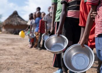 Un rapport de l'ONU identifie 16 pays africains comme des foyers de faim