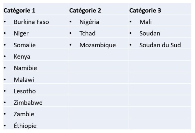 Un rapport de l'ONU identifie 16 pays africains comme des foyers de faim