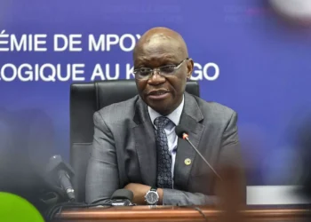 Une mystérieuse épidémie en RD Congo probablement causée par le paludisme