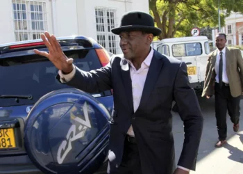 Zimbabwe : 35 leaders de l'opposition libérés, dont Jameson Timba