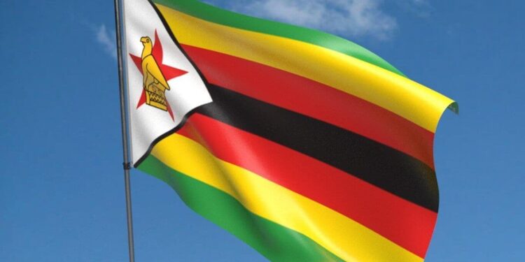 Zimbabwe : Au moins 27 morts dans une collision frontale entre un minibus et un camion