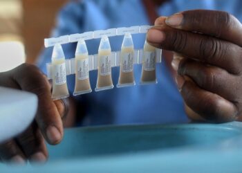 Le Zimbabwe lance une campagne de vaccination en porte-à-porte contre le choléra