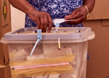 Zimbabwe: parliamentary by-elections without opposition candidate