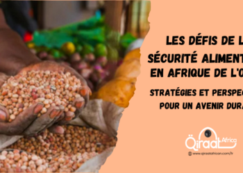la sécurité alimentaire en Afrique de l'Ouest