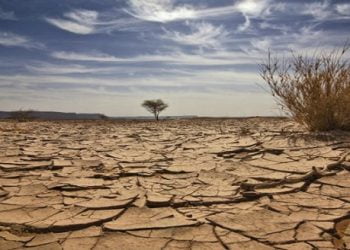 ظاهرة النينو في إفريقيا جنوب الصحراء ..تغيرات مناخية ونتائج كارثية