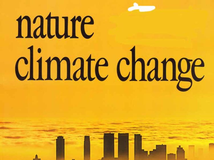 تغير المناخ يهدد زراعة الفاصولياء في غرب إفريقيا