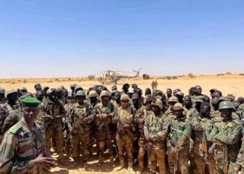 النيجر تعلن عن مقتل 79 مسلحا قرب الحدود مع مالي