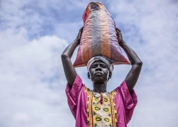 تقرير للفاو: نقص خطير في الغذاء بجنوب السودان
