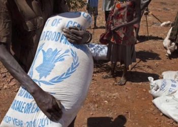 المساعدات الغربية ودورها في التنمية في إفريقيا