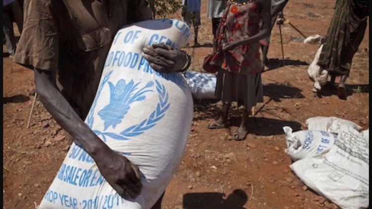 المساعدات الغربية ودورها في التنمية في إفريقيا