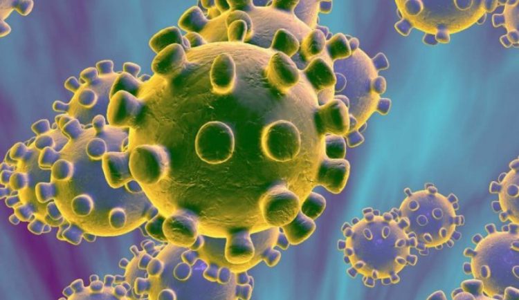 أزمة كورونا والتراجع الديموقراطي في إفريقيا