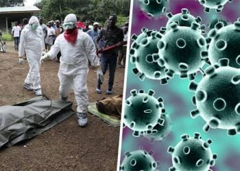 فيروس كورونا: التأهُّب الإفريقيّ والاستفادة من دروس إيبولا