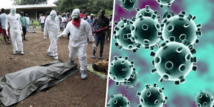 فيروس كورونا: التأهُّب الإفريقيّ والاستفادة من دروس إيبولا