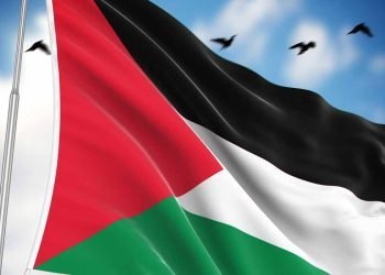 المواقف الإفريقية من القضية الفلسطينية.. الدوافع والمسارات