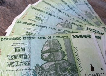 زيمبابوي من التضخم الجامح إلي النظام متعدد العملات (الدولرة الرسمية)
