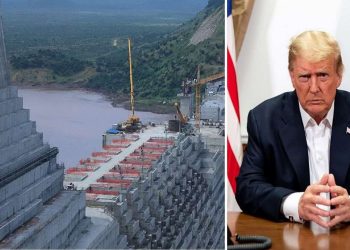 الرئيس ترامب وعسكرة سد النهضة