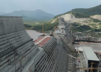 استجابة محدودة: دور الاتحاد الإفريقي في ظل أزمة كورونا