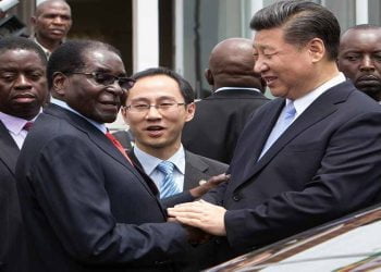 الصين والتماسيح والألماس.. صراع السلطة في زيمبابوي