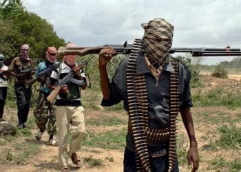 لماذا تصعد حركة شباب المجاهدين عملياتها في منطقة القرن الإفريقي؟