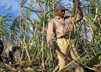 جمهورية موريشيوس.. من دولة إفريقية صغيرة إلى عملاق الاستقرار والتقدم