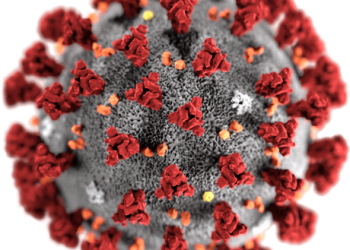 الأوبئة كمُهَدِّد للسِّلْم الاجتماعيّ في إفريقيا