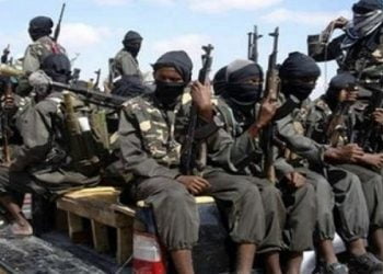 الإرهاب في إفريقيا…تحوُّلات خطرة وحلول منتظرة