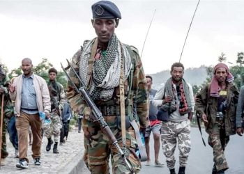 هل تسقط أديس أبابا تحت سيطرة قوات دفاع تيجراي؟