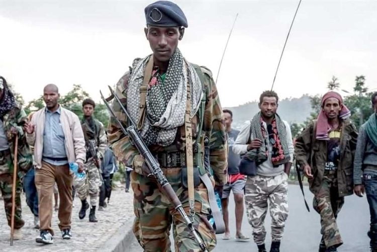 هل تسقط أديس أبابا تحت سيطرة قوات دفاع تيجراي؟