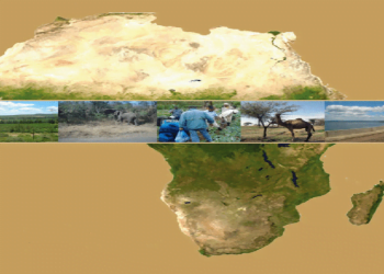 إفريقيا: بين إشكالية استنزاف الموارد وتحدي التنمية