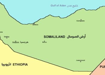 العامل الخارجيّ كمحدِّد لمستقبل أرض الصومال.. الواقع والمآلات