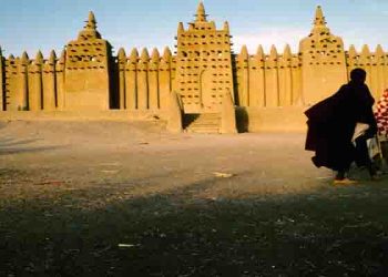 دور العلماء المسلمين في تحقيق السلم وحفظ الهوية بإفريقيا