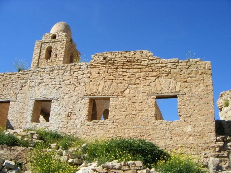 تجديد الخطاب الإسلامي في أفريقيا: الأنماط والقضايا العامة