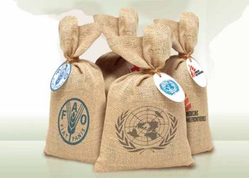 الإطار القانوني لعمل المنظمات الإنسانية في إفريقيا