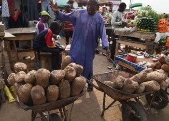 ماهي أبرز تأثيرات الحرب في أوكرانيا على الاقتصاد الإفريقي ..؟