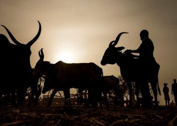 الفلانيّون وإسهاماتهم في كتابة تاريخ غرب إفريقيا: قراءة في الدّوافع والحصيلة