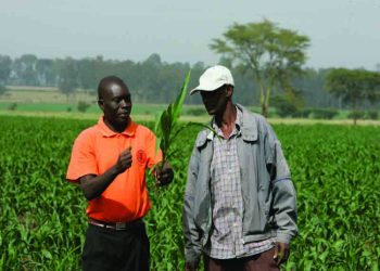 مصاعب اقتصادية للدول الإفريقية الصغيرة متوسطة الدخل