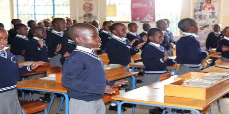 واقع التعليم في ليبيريا: عندما تتخلى الحكومة عن مسئوليتها