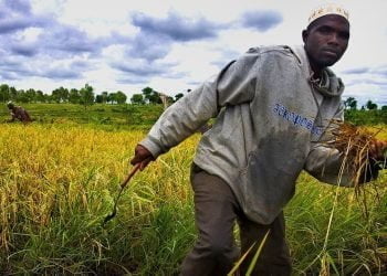 عين على إفريقيا (8-9 أبريل 2022): إفريقيا والحتمية “النيوليبرالية”